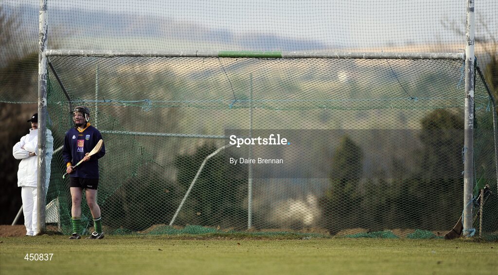 31 January 2010; Jamie Ryan, UCD. Walsh Cup Quarter-Final, Wexford v UCD, Pairc Ui Siochan, Gorey, Co. Wexford. Picture credit: Daire Brennan / SPORTSFILE