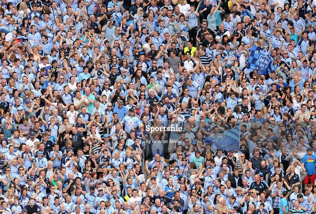 22 August 2010; Dublin supporters on Hill 16 cheer after their side scored a goal. GAA Football All-Ireland Senior Championship Semi-Final, Dublin v Cork, Croke Park, Dublin. Picture credit: Brendan Moran / SPORTSFILE