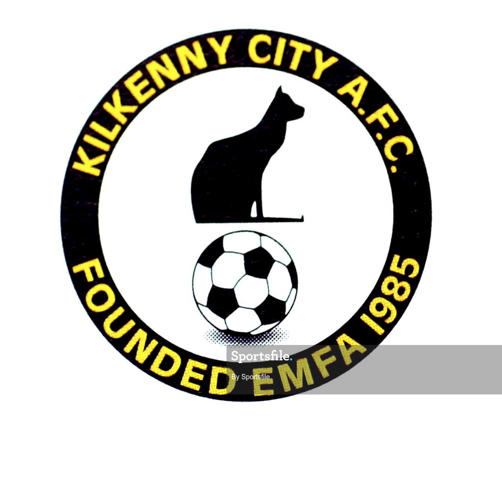 30 July 2001; Kilkenny City club crest. Photo by Sportsfile