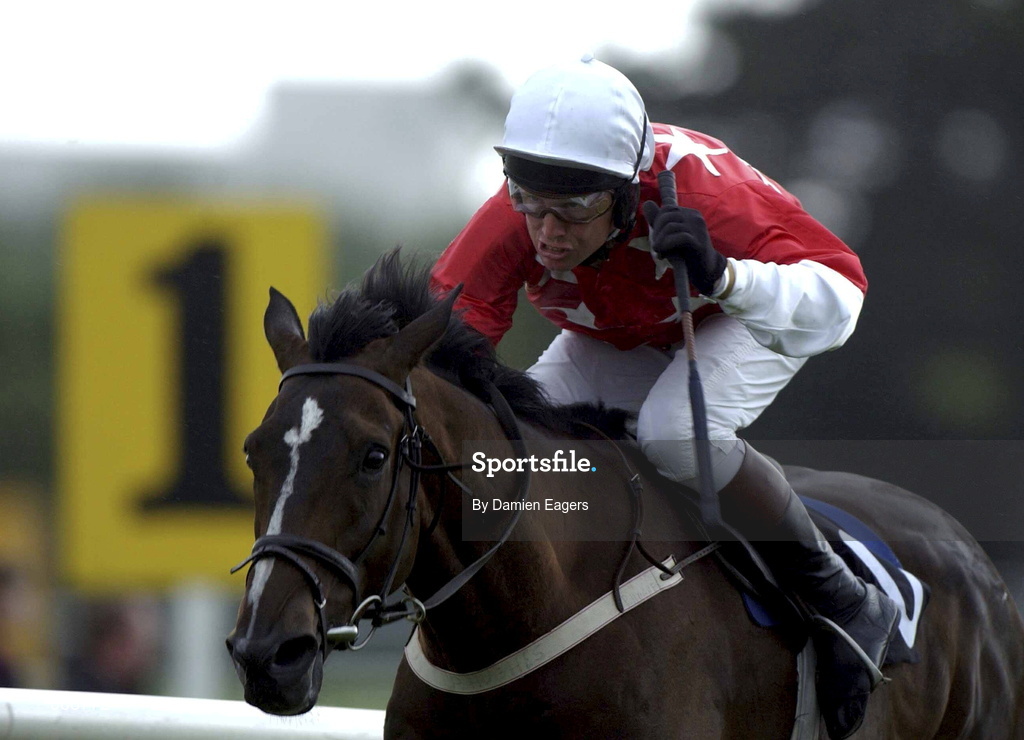 30 July 2001; Sweet Brief, with Charlie Swan, races on to win the GPT Sligo Maiden Hurdle of £10,000 during day 1 of the Galway Summer Racing Festival at Ballybrit Racecourse in Galway. Photo by Damien Eagers/Sportsfile