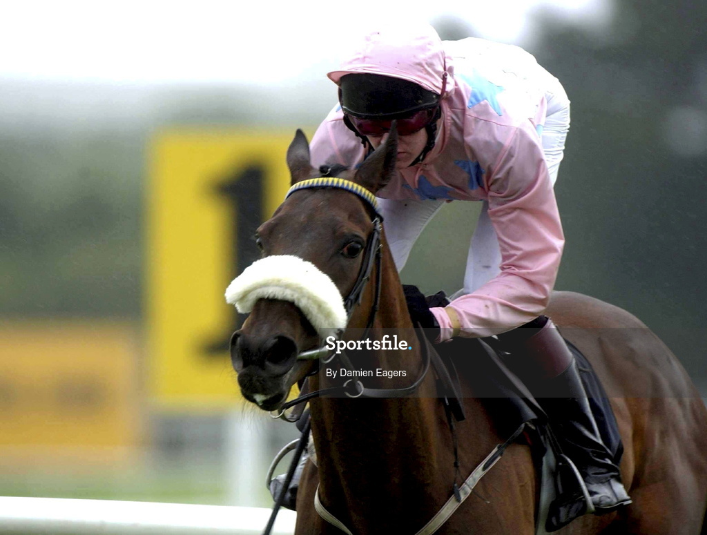 30 July 2001; Ansar, with Barry Geraghty up, races on, after clearing the last, to win the GPT Dublin Handicap Hurdle of £15,000 during day 1 of the Galway Summer Racing Festival at Ballybrit Racecourse in Galway. Photo by Damien Eagers/Sportsfile