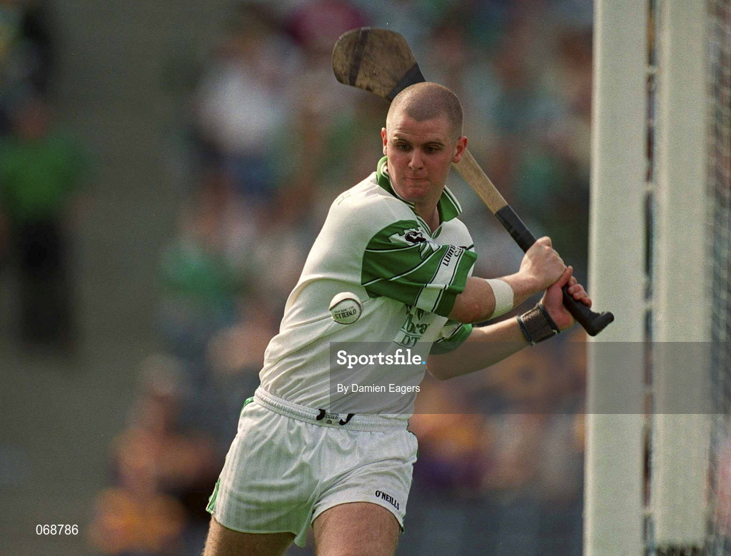 29 July 2001; Timmy Houlian of Limerick during the Guinness All-Ireland Senior Hurling Championship Quarter-Final match between Wexford and Limerick at Croke Park in Dublin. Photo by Damien Eagers/Sportsfile