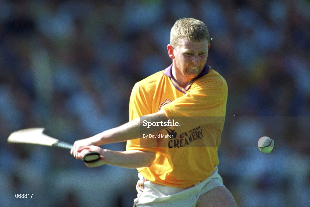 17 August 1997; Damien Fitzhenry of Wexford during the Guinness All-Ireland Senior Hurling Championship Semi-Final match between Tipperary and Wexford at Croke Park in Dublin. Photo by David Maher/Sportsfile