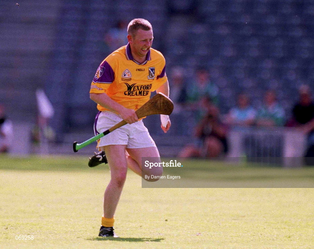29 July 2001; Damien Fitzhenry of Wexford during the Guinness All-Ireland Senior Hurling Championship Quarter-Final match between Wexford and Limerick at Croke Park in Dublin. Photo by Damien Eagers/Sportsfile