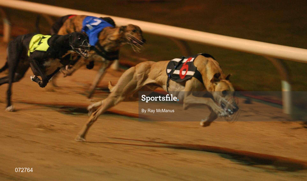 8 September 2001; Cool Performance, 6, leads the eventual winner Droopys Kewell, 5, and Annual Award round the first bend, in the first semi-final of the paddypower.com Irish Greyhound Derby at Shelbourne Park in Dublin. Photo by Ray McManus/Sportsfile