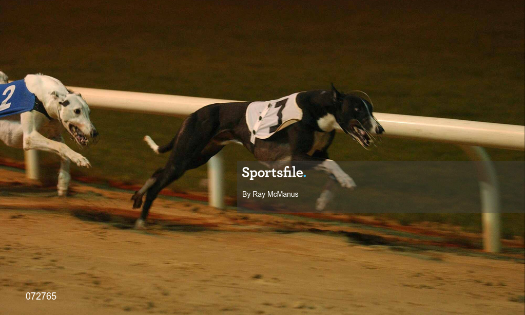 8 September 2001; Droopys Vieri, 3, on their way to winning the second semi-final of the paddypower.com Irish Greyhound Derby from Dale Inferno at Shelbourne Park in Dublin. Photo by Ray McManus/Sportsfile