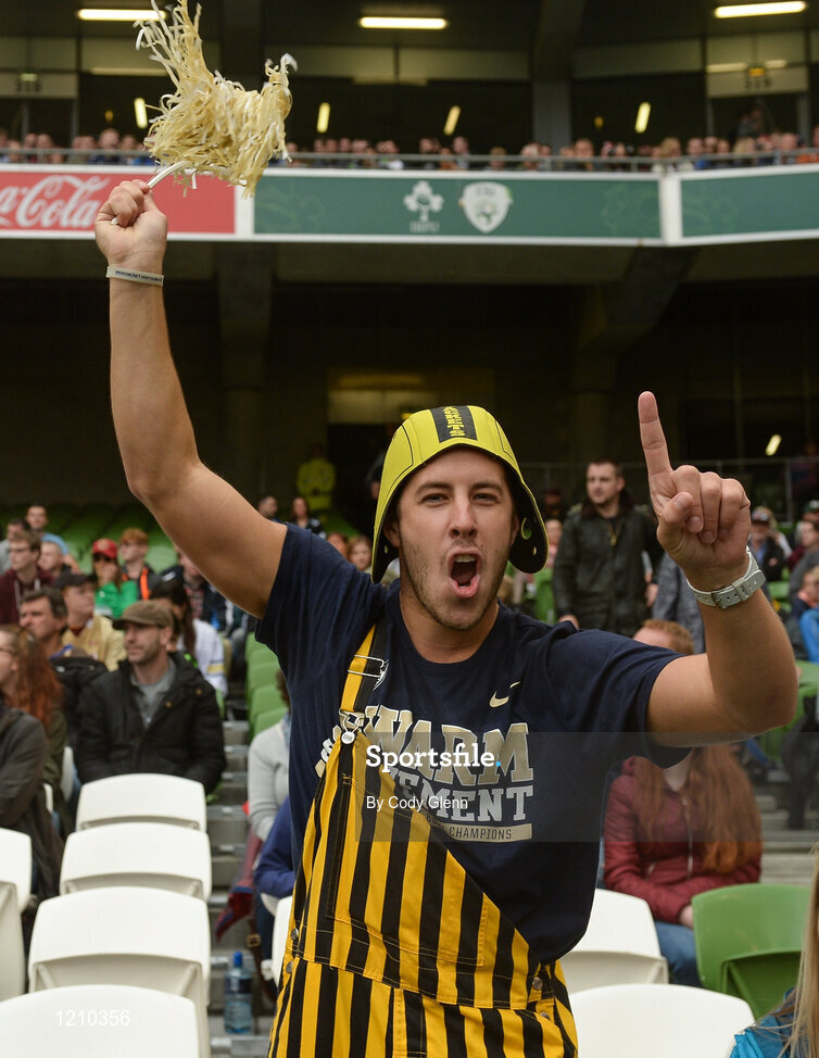3 September 2016; A Georgia Teech supporter during the Aer Lingus College Football Classic match between Boston College Eagles and Georgia Tech Yellow Jackets at the Aviva Stadium in Lansdowne Road, Dublin. Photo by Cody Glenn/Sportsfile