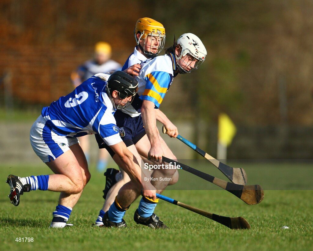 16 January 2011; Domhnall Fox, left, and Willie Hyland, Laois, in action against Conor Allis, UCD. Walsh Cup, 1st Round, Laois v UCD, Rathdowney GAA Grounds, Rathdowney, Co. Laois. Picture credit: Ken Sutton / SPORTSFILE