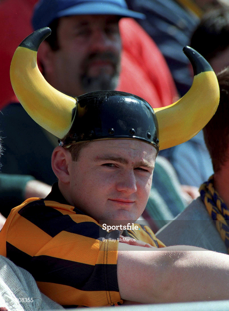 14 June 1998; A Kilkenny supporter during the Guinness Leinster Senior Hurling Championship Semi-Final match between Kilkenny and Laois at at Croke Park in Dublin. Photo by Ray McManus/Sportsfile