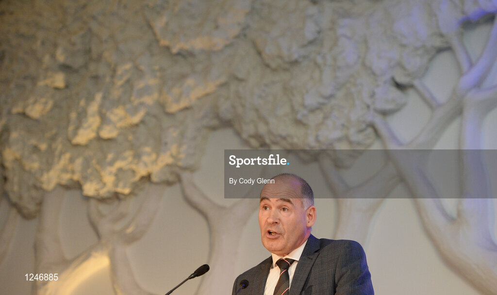 30 November 2016; Jim Dowdall, Managing Director at Irish Life Health, speaks at the Irish Life Health National Athletics Awards 2016 at the Crowne Plaza Hotel in Santry, Dublin. Photo by Cody Glenn/Sportsfile
