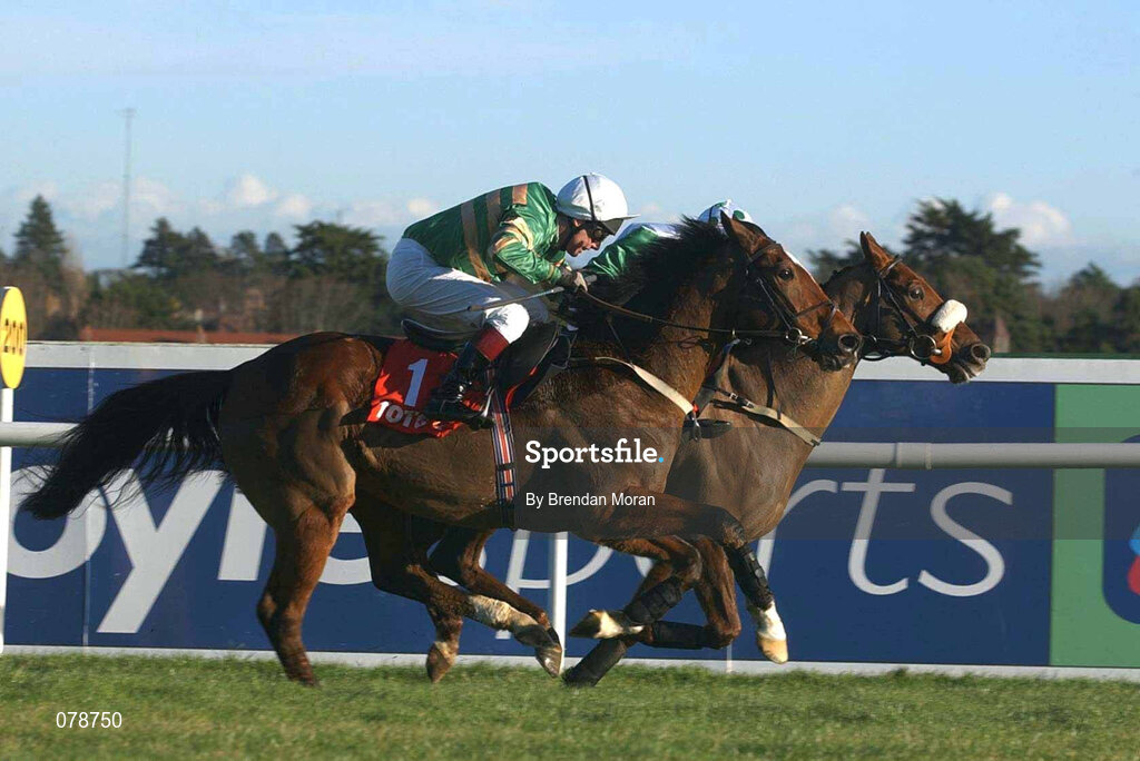 29 December 2001; Istabraq, with Charlie Swan up, left, alongside Bust Out, with Barry Geraghty up, on their way to winning the Tote December Festival Hurdle on Day Four of the Leopardstown Christmas Festival at Leopardstown Racecourse in Dublin. Photo by Brendan Moran/Sportsfile