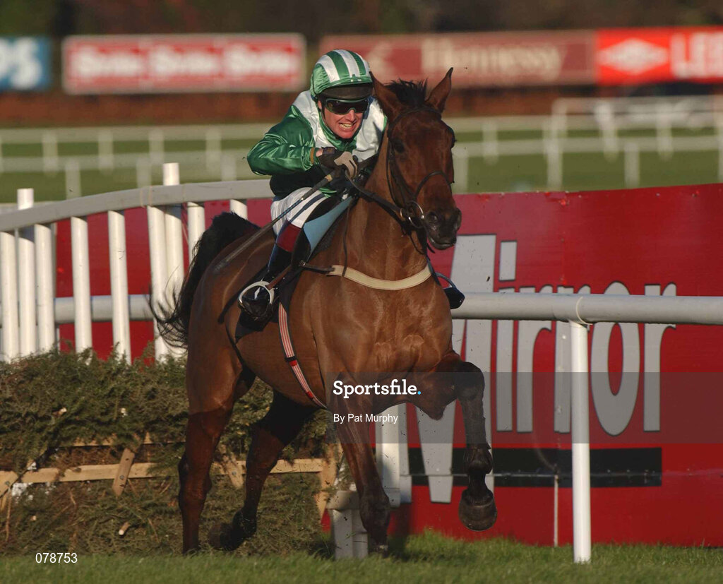 29 December 2001; Rule Supreme, with Charlie Swan up, jumps the last on their way to winning the Agri-Aware Maiden Hurdle on Day Four of the Leopardstown Christmas Festival at Leopardstown Racecourse in Dublin. Photo by Pat Murphy/Sportsfile