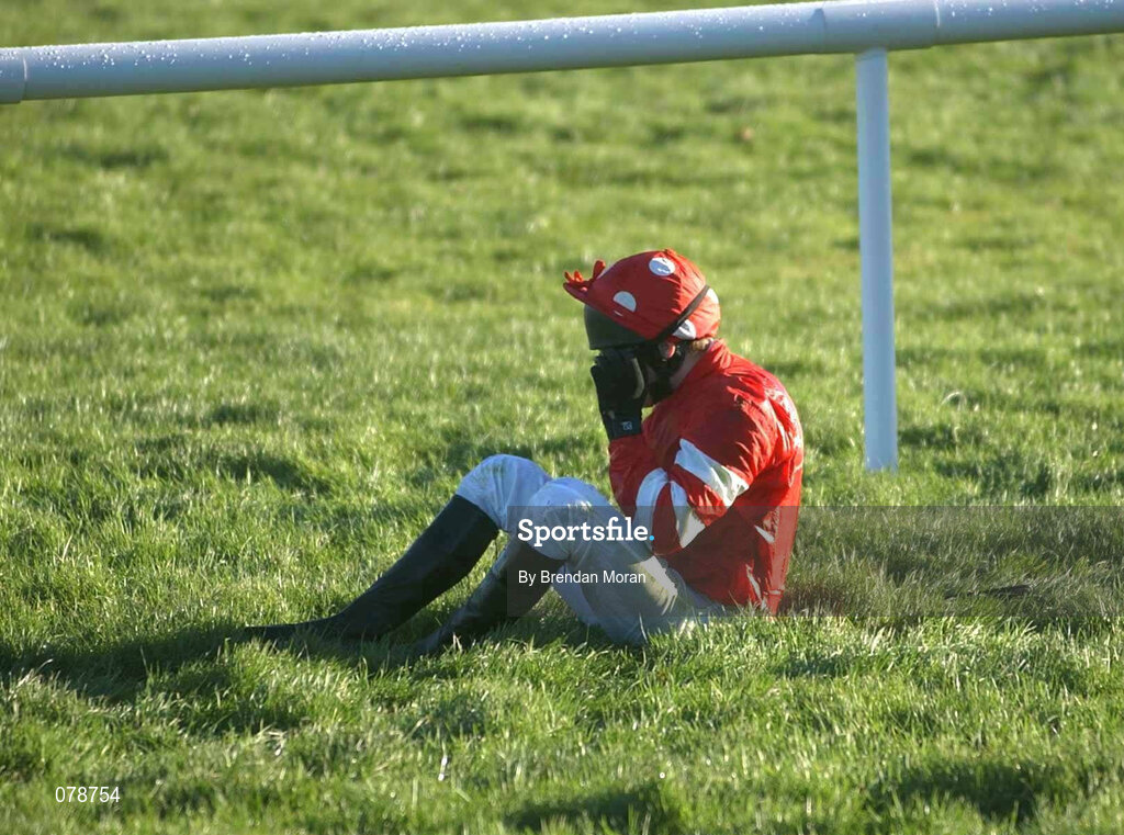 29 December 2001; Jockey Shay Barry after falling from Be My Royal at the first fence during the Farming Independent Beginners Steeplechase on Day Four of the Leopardstown Christmas Festival at Leopardstown Racecourse in Dublin. Photo by Brendan Moran/Sportsfile