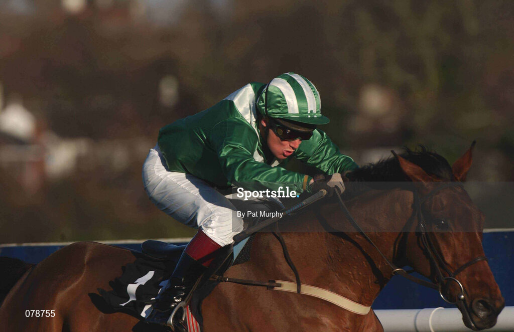 29 December 2001; Rule Supreme, with Charlie Swan up, on their way to winning the Agri-Aware Maiden Hurdle on Day Four of the Leopardstown Christmas Festival at Leopardstown Racecourse in Dublin. Photo by Pat Murphy/Sportsfile