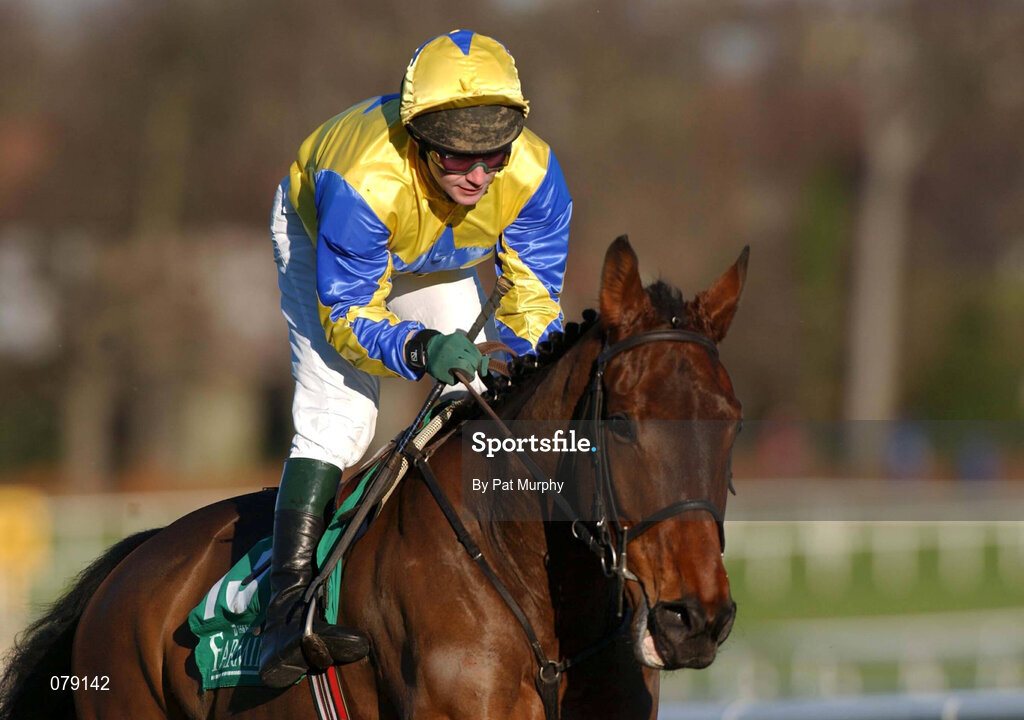 29 December 2001; Double Bogey Blues, with David Casey up, during the Farming Independent Beginners Steeplechase on Day Four of the Leopardstown Christmas Festival at Leopardstown Racecourse in Dublin. Photo by Pat Murphy/Sportsfile