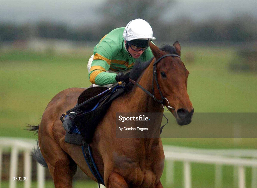 12 January 2002; Youlneverwalkalone with Paul Moloney up, on their way to winning The European Breeders Fund Beginners Steeplechase at Navan Racecourse in Meath. Photo by Damien Eagers/Sportsfile