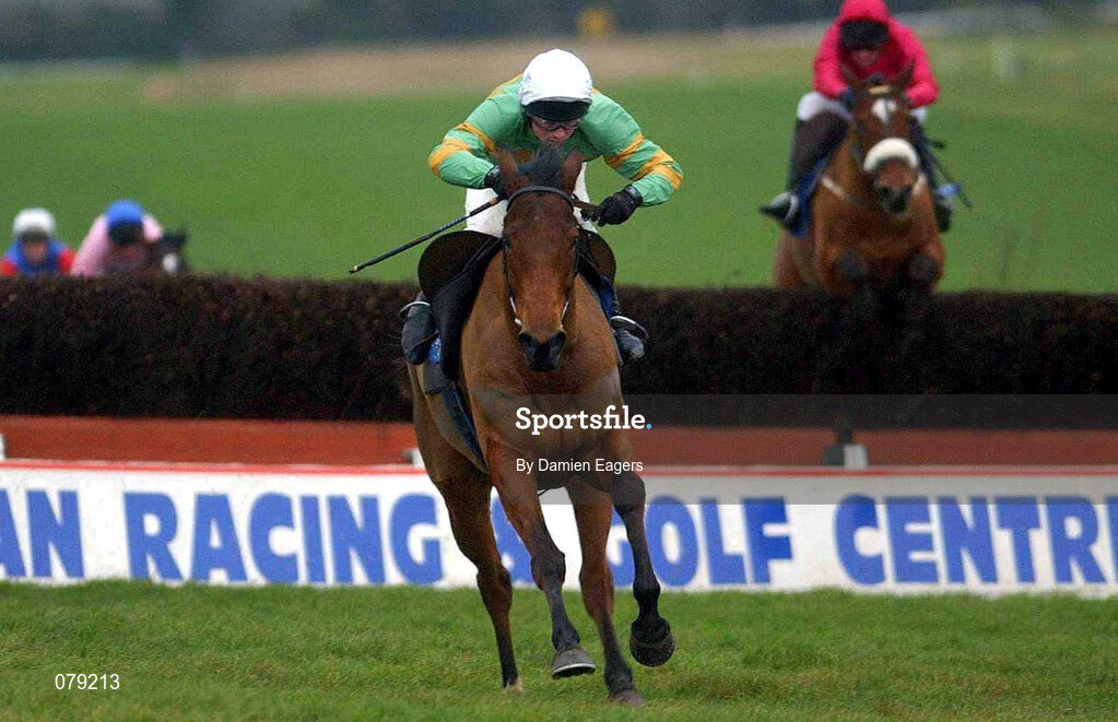 12 January 2002; Youlneverwalkalone with Paul Moloney up, on their way to winning The European Breeders Fund Beginners Steeplechase at Navan Racecourse in Meath. Photo by Damien Eagers/Sportsfile