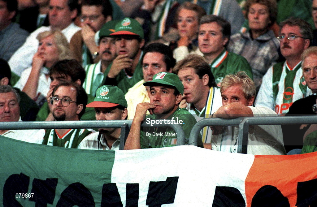 6 September 1995; A Republic of Ireland supporters during the UEFA European Championship Group 6 match between Austria and Republic of Ireland at the Ernst Happel Stadium in Vienna, Austria.