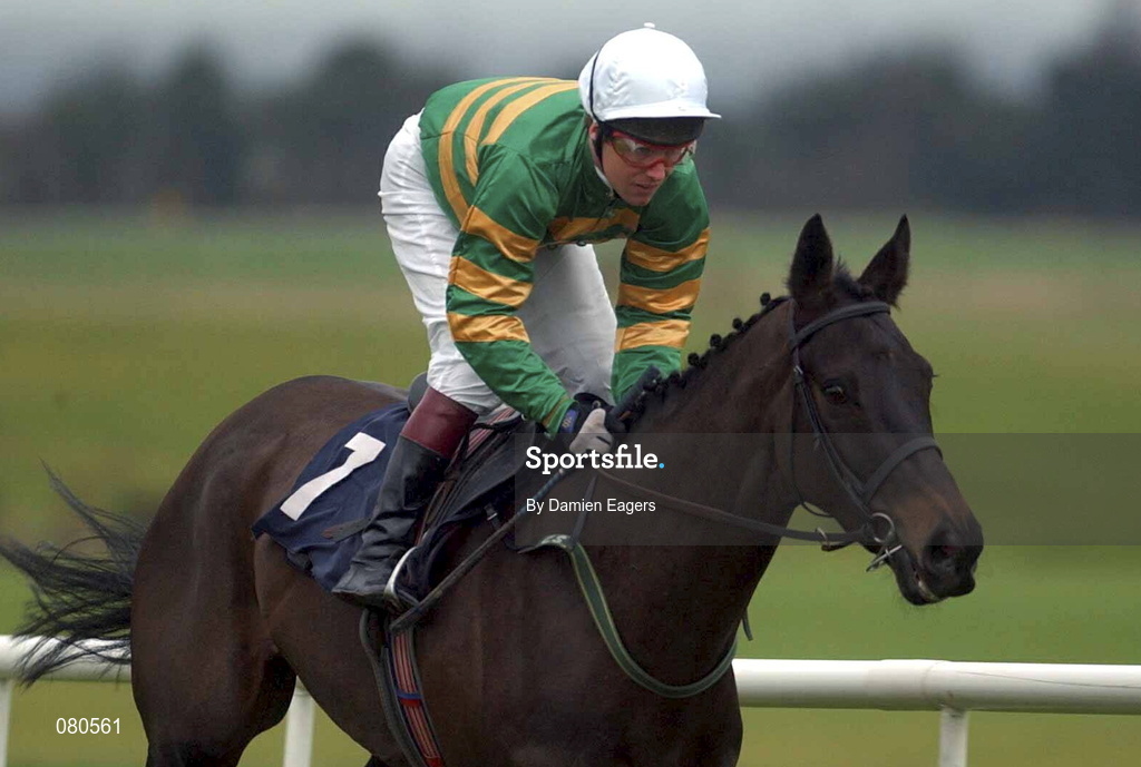 12 January 2002; Grond Ball with Charlie Swan up during The European Breeders Fund Beginners Steeplechase at Navan Racecourse in Meath. Photo by Damien Eagers/Sportsfile