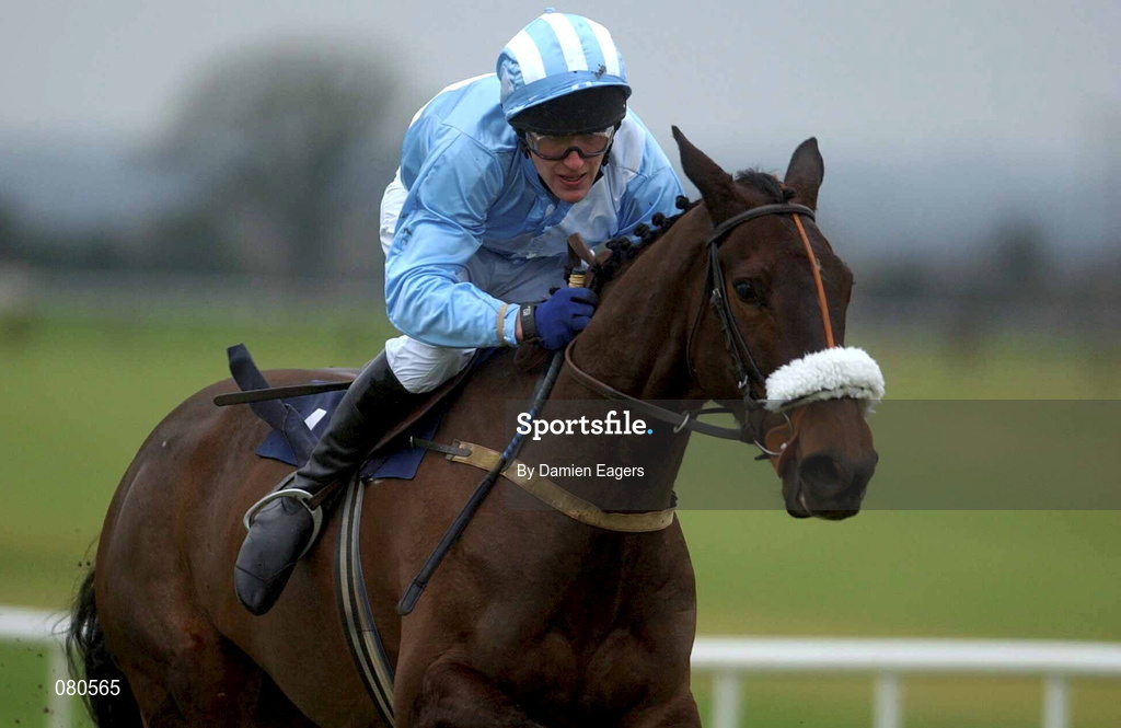 12 January 2002; Younevertoldme with Robert Power up, during The European Breeders Fund Beginners Steeplechase at Navan Racecourse in Meath. Photo by Damien Eagers/Sportsfile