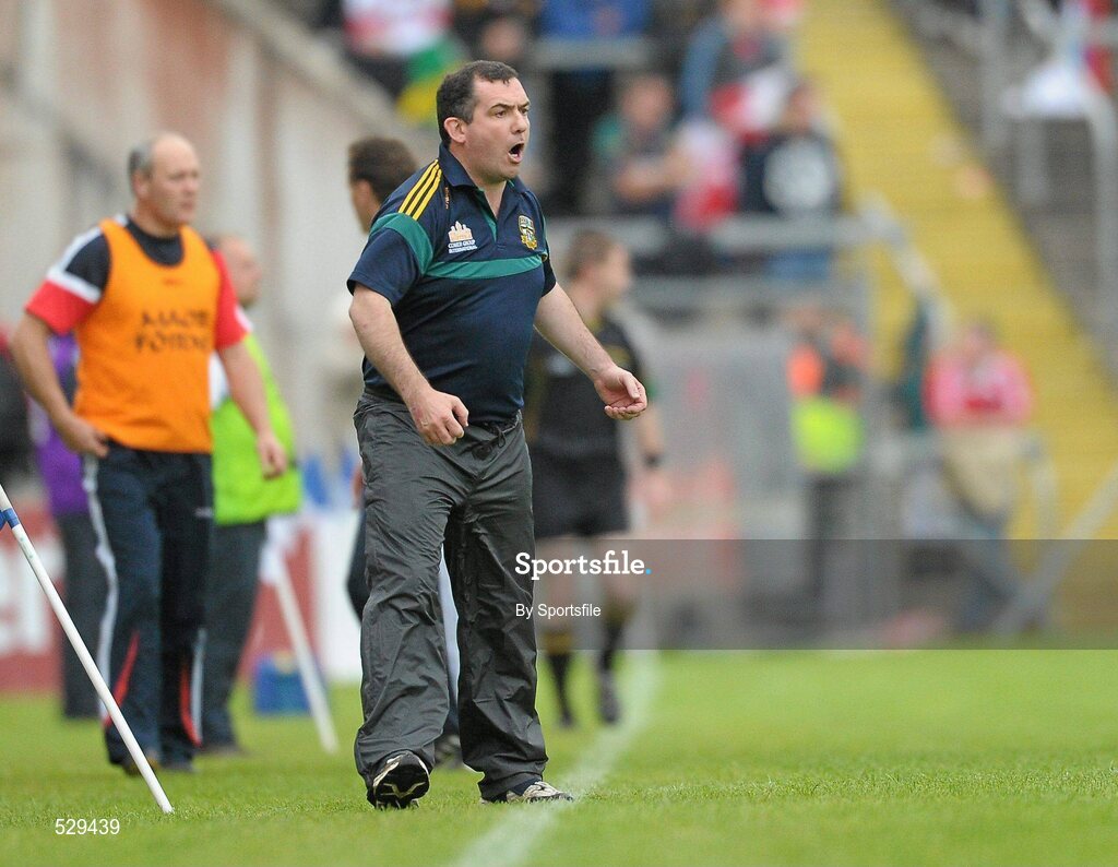 25 June 2011; Meath manager Seamus McEnaney during the game. GAA Football All-Ireland Senior Championship Qualifier Round 1, Louth v Meath, Kingspan Breffni Park, Co. Cavan. Photo by Sportsfile