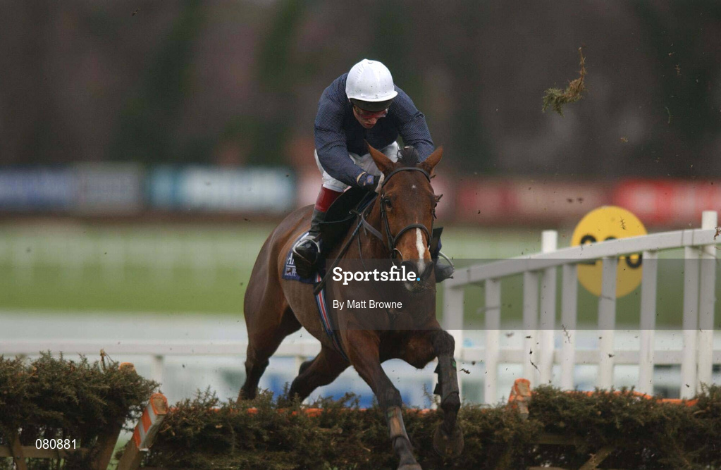 27 January 2002; Joe Cullen, with Ruby Walsh up, jumps the last on their way to finishing fifth in the AIG Europe Champion Hurdle during Horse Racing at Leopardstown in Dublin. Photo by Matt Browne/Sportsfile