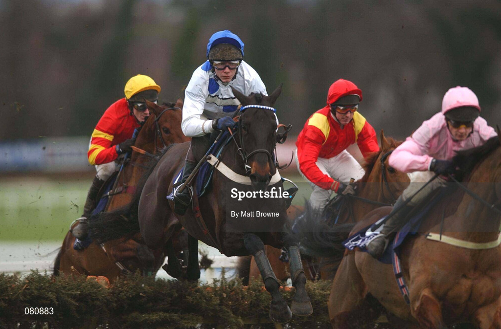 27 January 2002; Geos, with Mick Fitzgerald up, jumps the last on their way to finishing sixth in the AIG Europe Champion Hurdle during Horse Racing at Leopardstown in Dublin. Photo by Matt Browne/Sportsfile