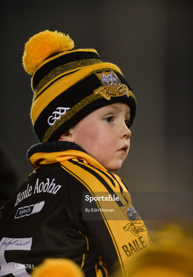 4 February 2017; Young Ballyea supporter Joseph Griffin, age 4, is held on top of his aunt Orla Griffins shoulders following their sides win during the AIB GAA Hurling All-Ireland Senior Club Championship Semi-Final match between St Thomas' and Ballyea at Semple Stadium in Thurles, Co Tipperary. Photo by Eóin Noonan/Sportsfile