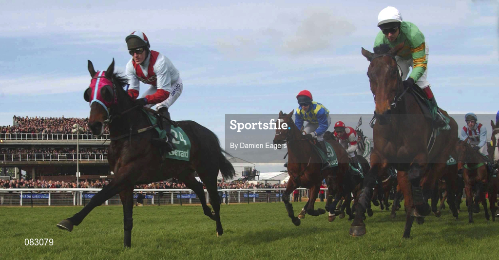 12 March 2002; Like a Butterfly, with Charlie Swan up, right, alongside eventual second place with Westender, Tony McCoy up, on their way to winning the Gerrard Supreme Novices Hurdle during day one of the Cheltenham Racing Festival at Prestbury Park in Cheltenham, England. Photo by Damien Eagers/Sportsfile