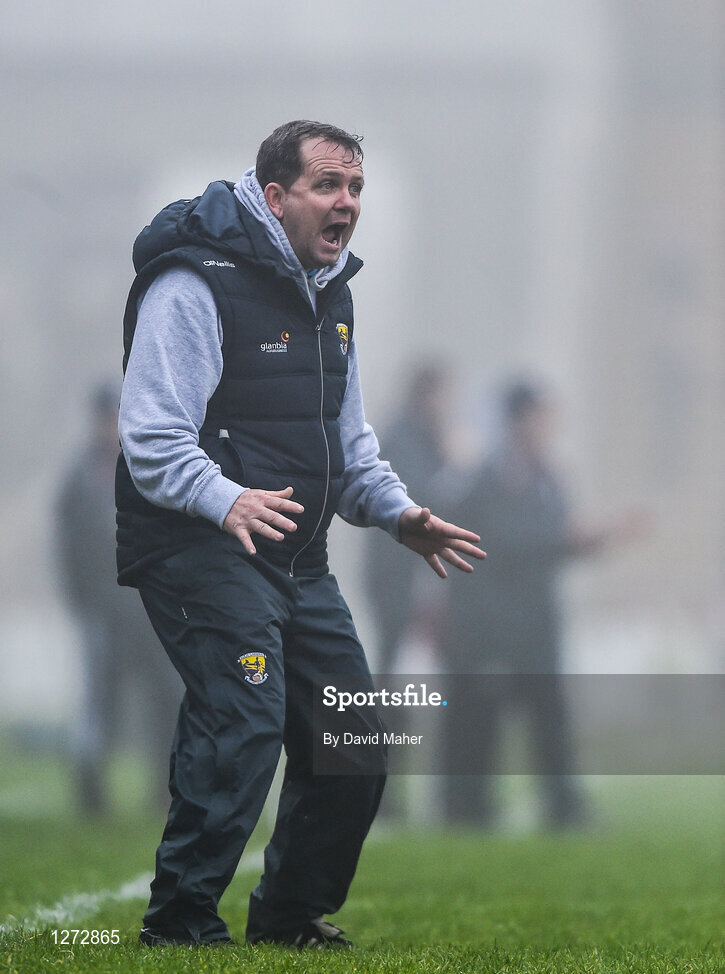 19 February 2017; Wexford manager Davy Fitzgerald during the Allianz Hurling League Division 1B Round 2 match between Galway and Wexford at Pearse Stadium in Galway. Photo by David Maher/Sportsfile