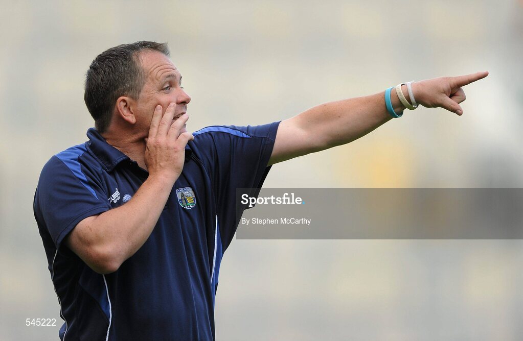 7 August 2011; Waterford manager Davy Fitzgerald during the game. GAA Hurling All-Ireland Senior Championship Semi-Final, Kilkenny v Waterford, Croke Park, Dublin. Picture credit: Stephen McCarthy / SPORTSFILE