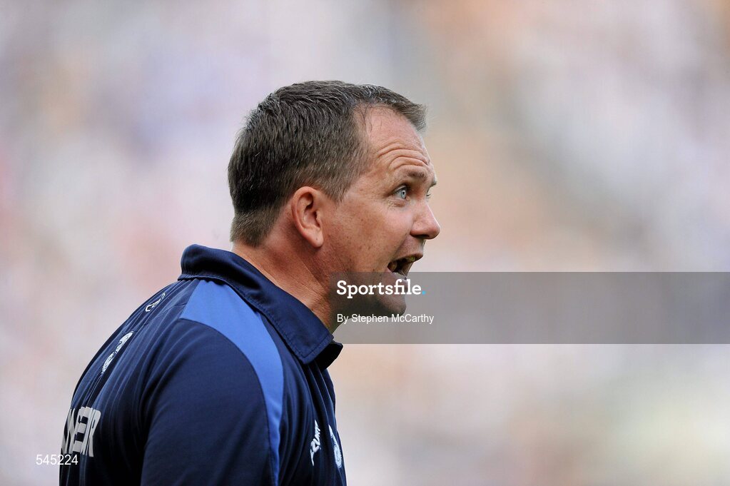 7 August 2011; Waterford manager Davy Fitzgerald during the game. GAA Hurling All-Ireland Senior Championship Semi-Final, Kilkenny v Waterford, Croke Park, Dublin. Picture credit: Stephen McCarthy / SPORTSFILE