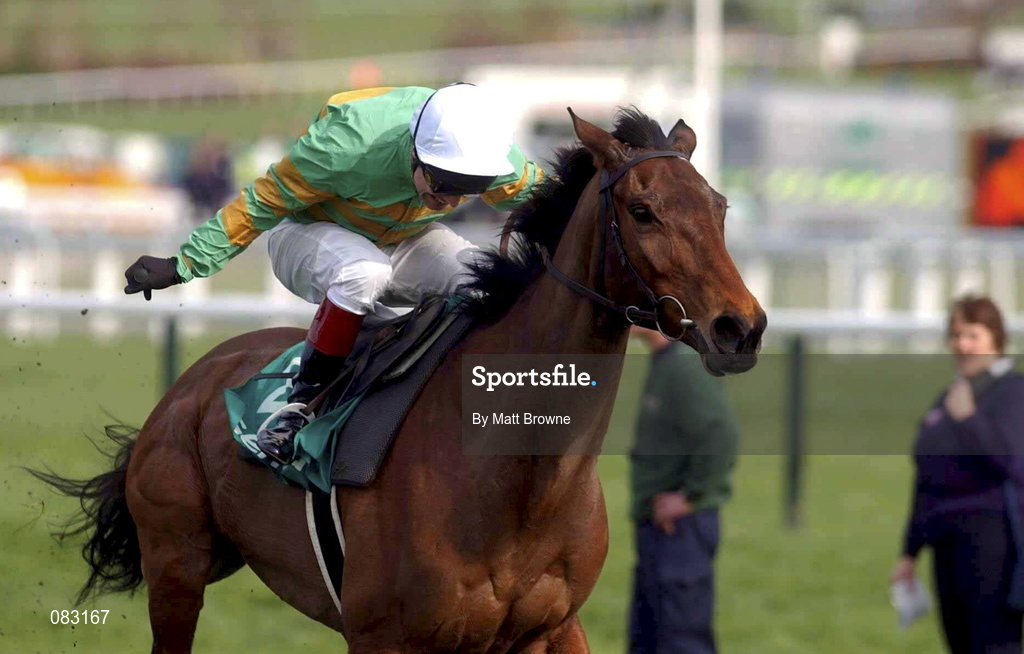 12 March 2002; Like-A-Butterfly with Charlie Swan race on after the last to  win the Gerrard Supreme Novices Hurdle Race during Day One of the Cheltenham Racing Festival at Prestbury Park in Cheltenham, England. Photo by Matt Browne/Sportsfile