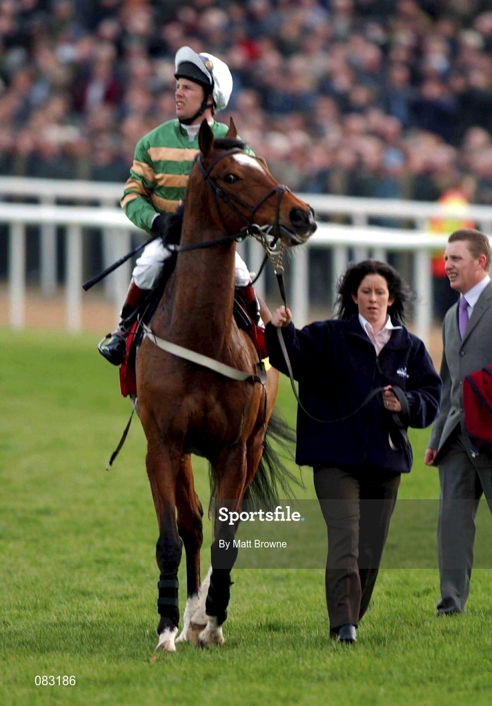 12 March 2002; Charlie Swan watches the concluding stages of The Champion Hurdle after he had pulled up on  Istabraq during Day One of the Cheltenham Racing Festival at Prestbury Park in Cheltenham, England. Photo by Matt Browne/Sportsfile