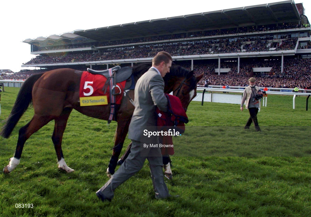 12 March 2002; Istabraq is led in after pulling up in the Champion Hurdle during Day One of the Cheltenham Racing Festival at Prestbury Park in Cheltenham, England. Photo by Matt Browne/Sportsfile