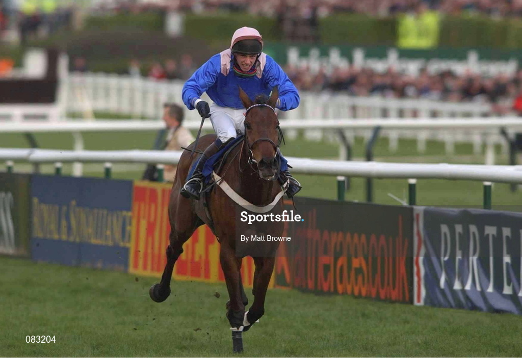 12 March 2002; The Bushkeeper with David Crosse up on the way to winning The Fulke Walwyn Kim Muir Challenge Cup Handicap Steeplechase during Day One of the Cheltenham Racing Festival at Prestbury Park in Cheltenham, England. Photo by Matt Browne/Sportsfile