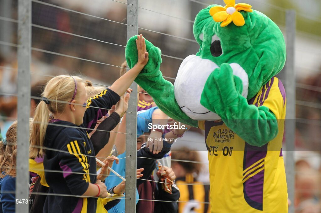 13 August 2011; A camogie mascot with supporters before the game. All-Ireland Senior Camogie Championship Semi-Final in association with RTE Sport, Cork v Wexford, Nowlan Park, Kilkenny. Picture credit: Pat Murphy / SPORTSFILE