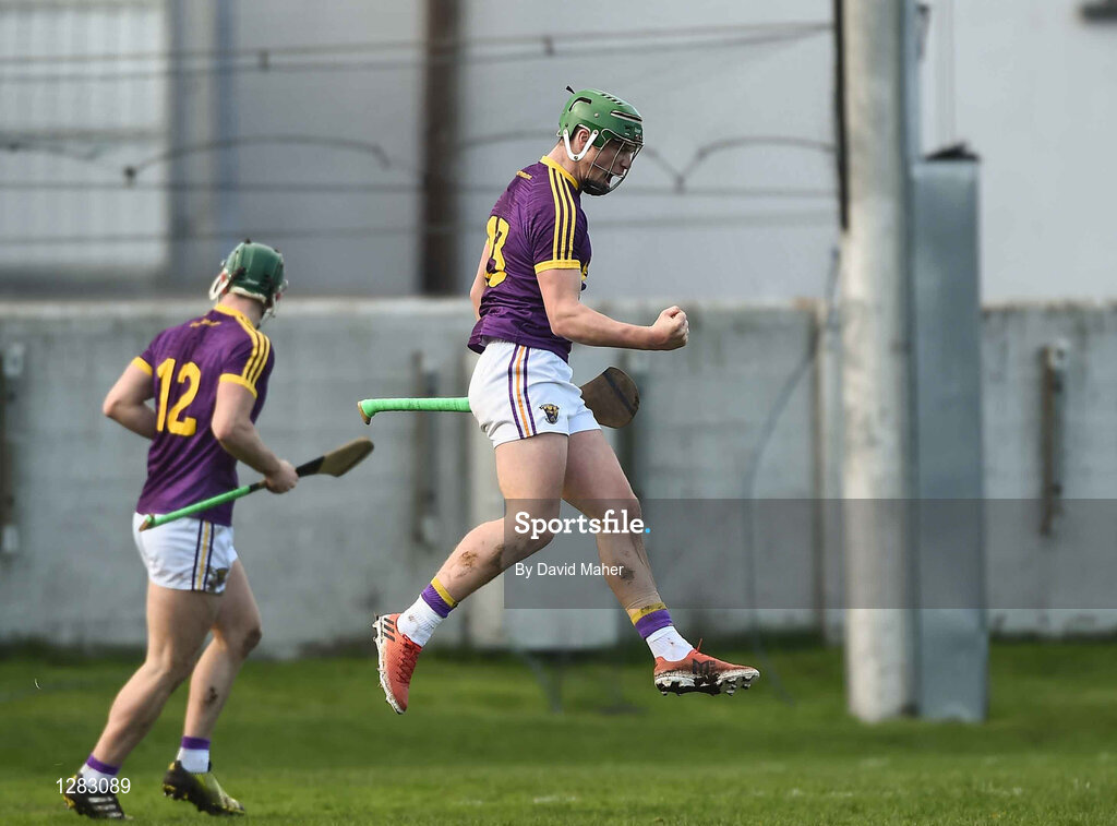 12 March 2017; Conor McDonald of Wexford celebrates after scoring his side's first goal during the Allianz Hurling League Division 1B Round 4 match between Offaly and Wexford at O’Connor Park in Tullamore, Co. Offaly. Photo by David Maher/Sportsfile