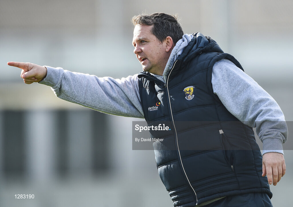 12 March 2017; Wexford manager Davy Fitzgerald during the Allianz Hurling League Division 1B Round 4 match between Offaly and Wexford at O’Connor Park in Tullamore, Co. Offaly. Photo by David Maher/Sportsfile