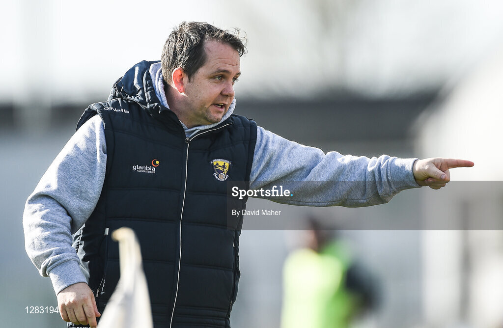 12 March 2017; Wexford manager Davy Fitzgerald during the Allianz Hurling League Division 1B Round 4 match between Offaly and Wexford at O’Connor Park in Tullamore, Co. Offaly. Photo by David Maher/Sportsfile