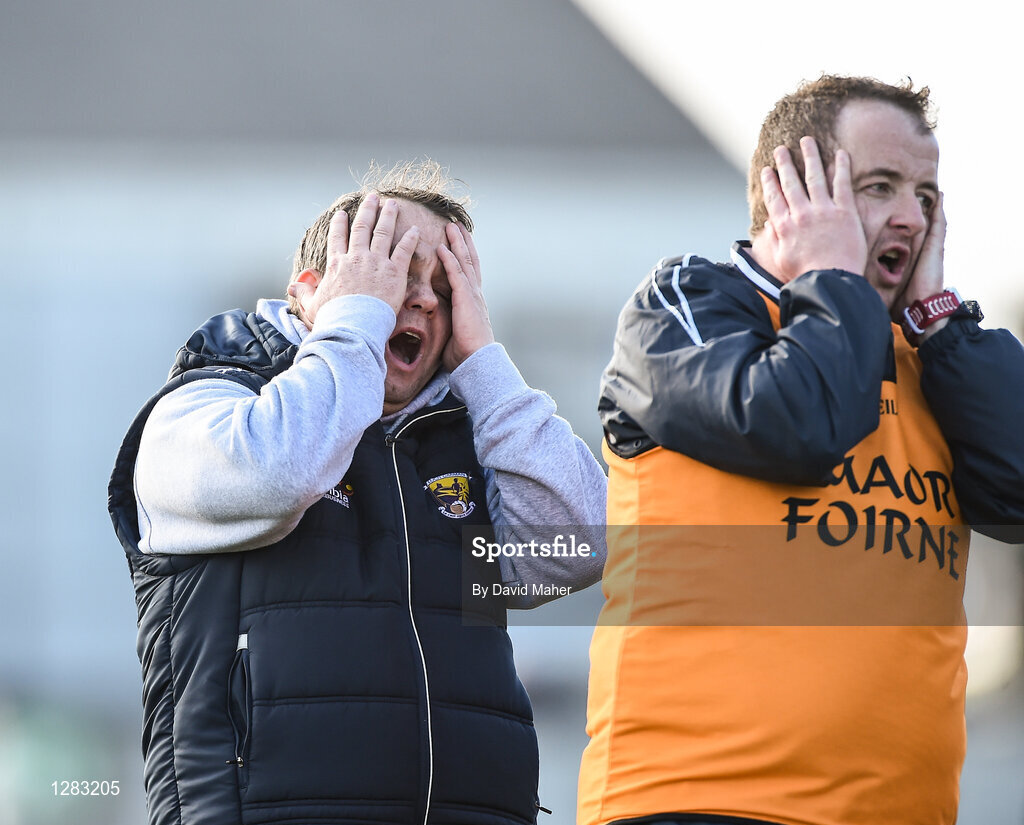 12 March 2017; Wexford manager Davy Fitzgerald and selector Seoirse Bulfin react to a late missed point during the closing stages of the Allianz Hurling League Division 1B Round 4 match between Offaly and Wexford at O’Connor Park in Tullamore, Co. Offaly. Photo by David Maher/Sportsfile