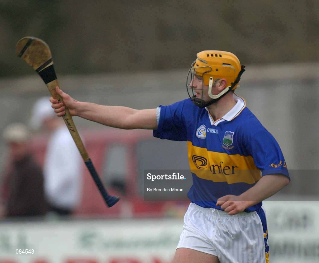 30 March 2002; Liam Cahill of Tipperary celebrates scoring his side's second goal during the Allianz National Hurling League Division 1B Round 1 match between Offaly and Tipperary in St Brendan's Park in Birr, Offaly. Photo by Brendan Moran/Sportsfile