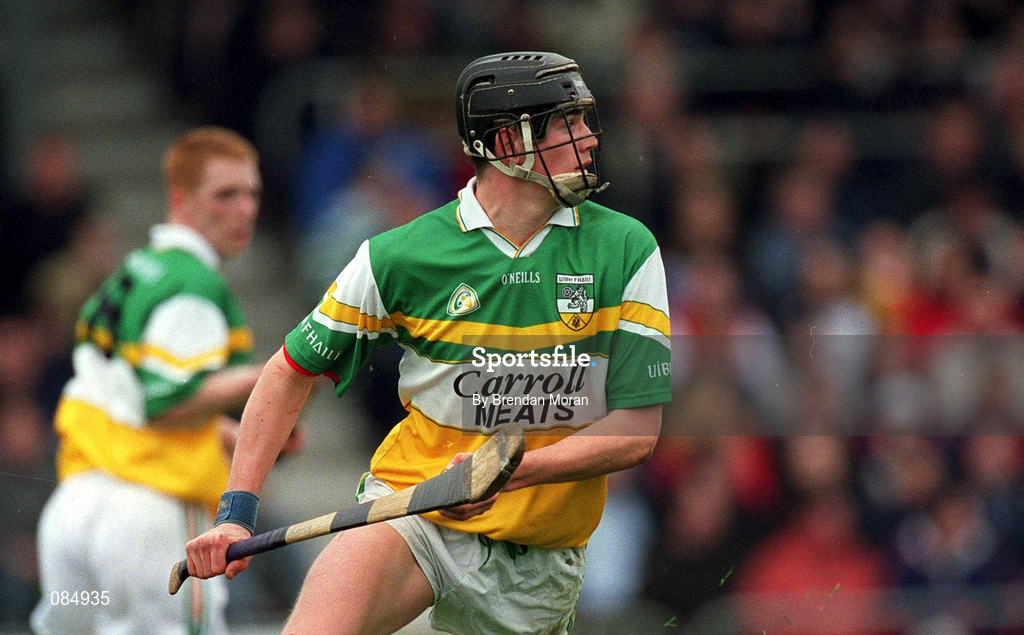 30 March 2002; Rory Hanniffy of Offaly during the Allianz National Hurling League Division 1B Round 1 match between Offaly and Tipperary in St Brendan's Park in Birr, Offaly. Photo by Brendan Moran/Sportsfile