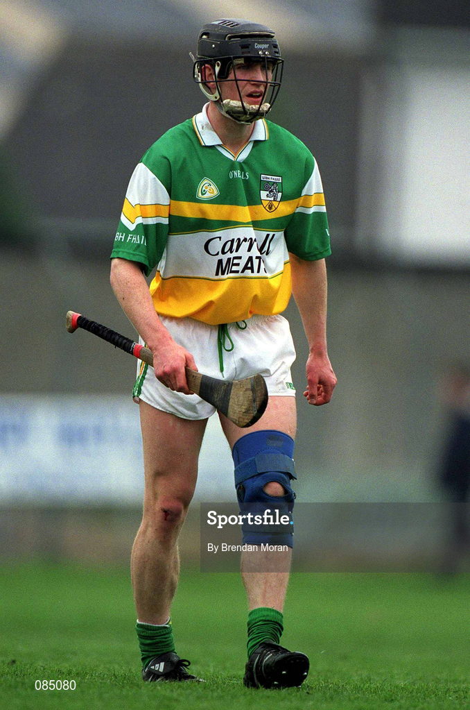 30 March 2002; Mick O'Hara of Offaly during the Allianz National Hurling League Division 1B Round 1 match between Offaly and Tipperary in St Brendan's Park in Birr, Offaly. Photo by Brendan Moran/Sportsfile