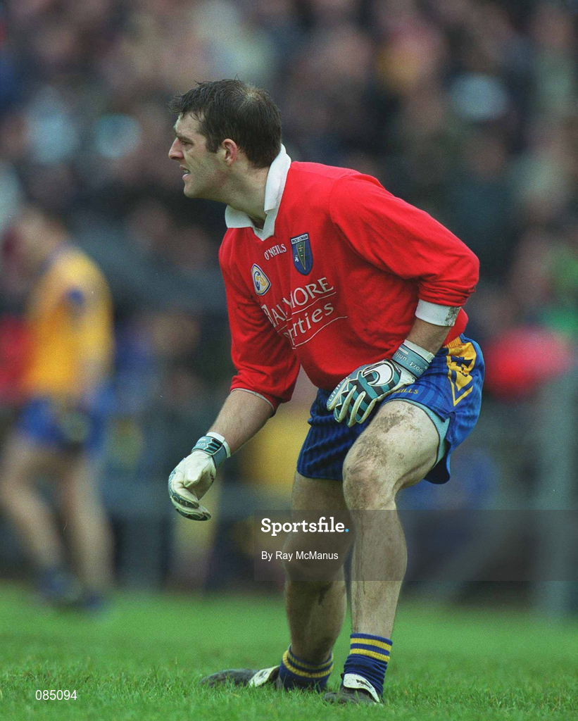 31 March 2002; Roscommon goalkeeper Derek Thompson during the Allianz Football League Division 1A Round 7 match between Roscommon and Donegal at Dr Hyde Park in Roscommon. Please note Donegal wore the Roscommon  away strip due to a clash of jerseys. Photo by Ray McManus/Sportsfile