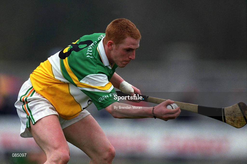 30 March 2002; Barry Whelahan of Offaly during the Allianz National Hurling League Division 1B Round 1 match between Offaly and Tipperary in St Brendan's Park in Birr, Offaly. Photo by Brendan Moran/Sportsfile