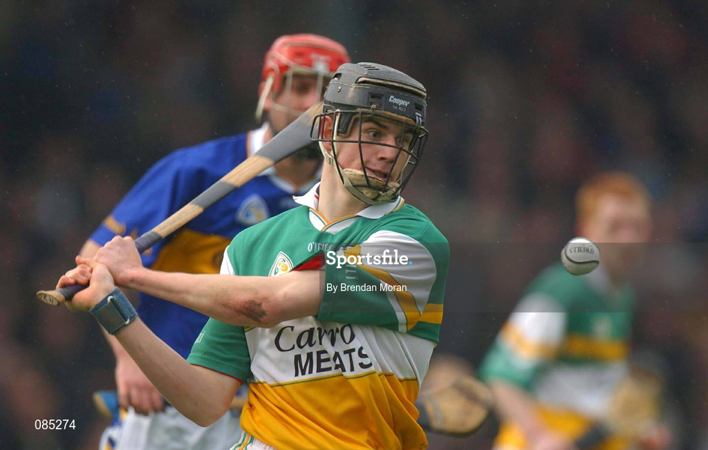 30 March 2002; Rory Hannify of Offaly during the Allianz National Hurling League Division 1B Round 1 match between Offaly and Tipperary in St Brendan's Park in Birr, Offaly. Photo by Brendan Moran/Sportsfile