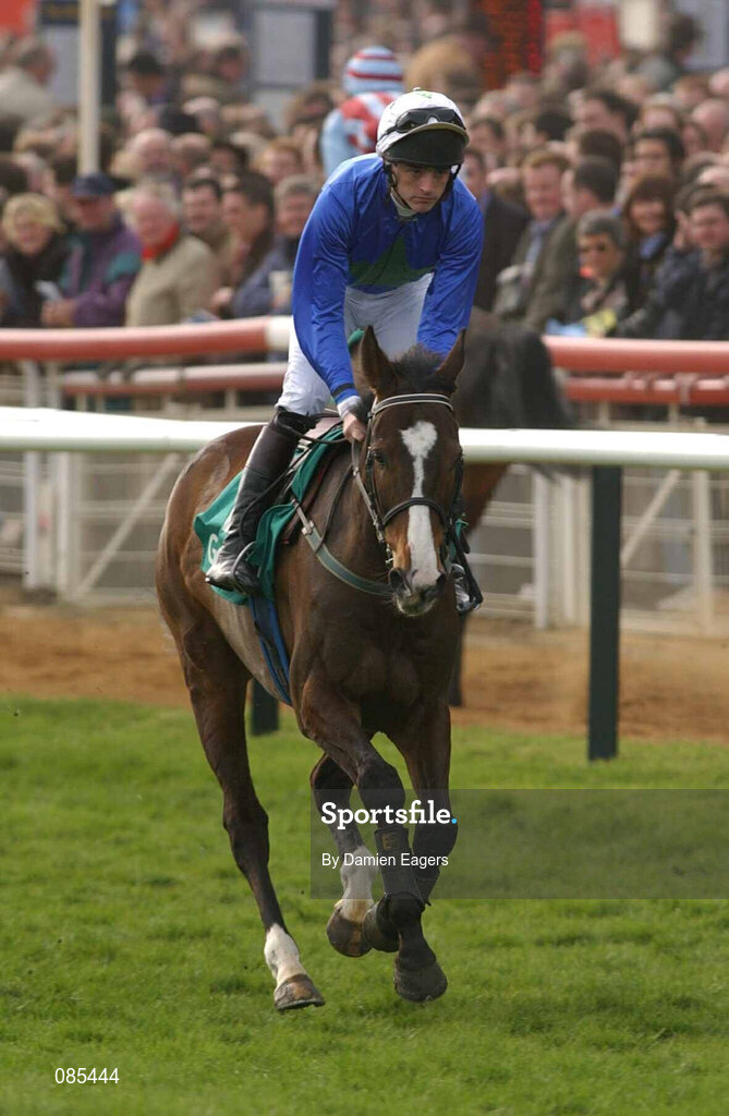 12 March 2002; Adamant Approach, with Ruby Walsh up, during Day One of the Cheltenham Racing Festival at Prestbury Park in Cheltenham, England. Photo by Damien Eagers/Sportsfile