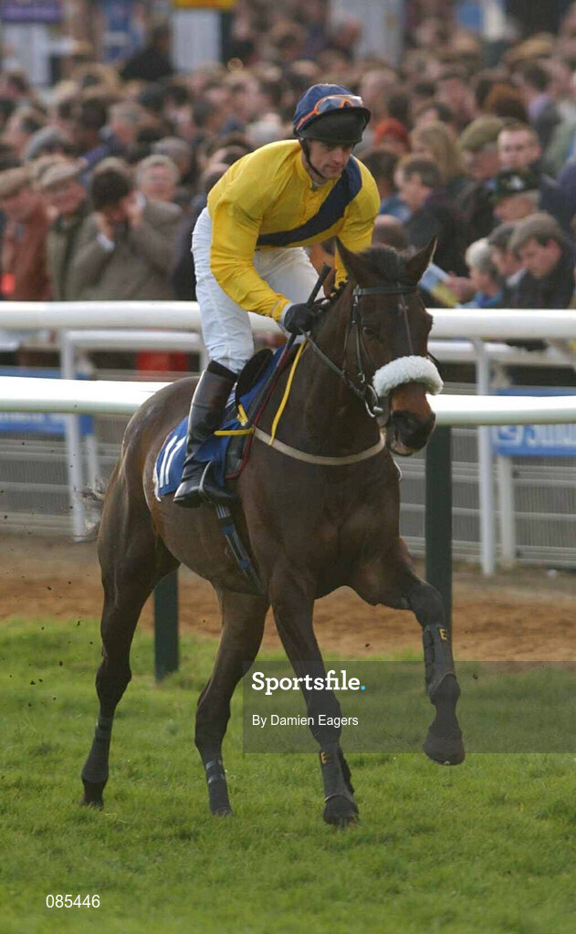 12 March 2002; Corniche, with Mr S Morris up, during Day One of the Cheltenham Racing Festival at Prestbury Park in Cheltenham, England. Photo by Damien Eagers/Sportsfile