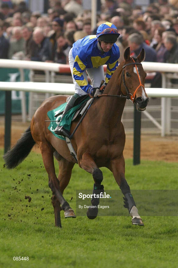 12 March 2002; Sacundai, with Tony Dobbin up, during Day One of the Cheltenham Racing Festival at Prestbury Park in Cheltenham, England. Photo by Damien Eagers/Sportsfile